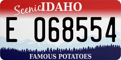 ID license plate E068554