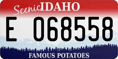ID license plate E068558