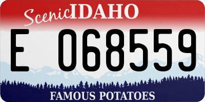 ID license plate E068559