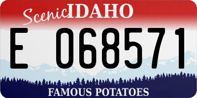 ID license plate E068571