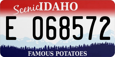 ID license plate E068572