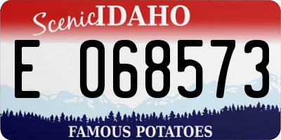 ID license plate E068573
