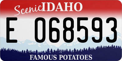 ID license plate E068593