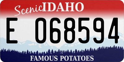 ID license plate E068594