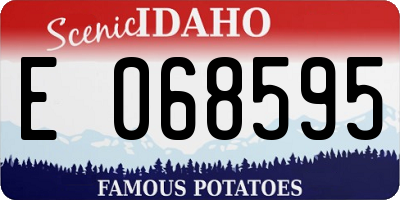 ID license plate E068595