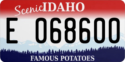 ID license plate E068600