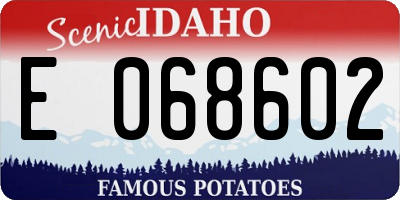 ID license plate E068602
