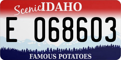 ID license plate E068603