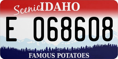 ID license plate E068608