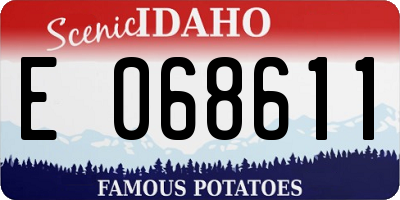 ID license plate E068611