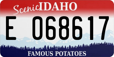ID license plate E068617