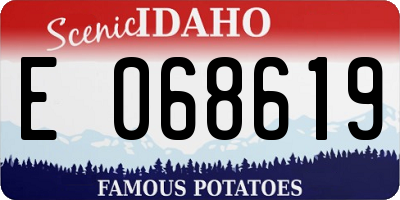 ID license plate E068619