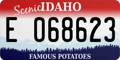 ID license plate E068623