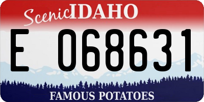 ID license plate E068631