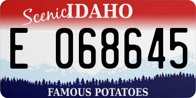 ID license plate E068645