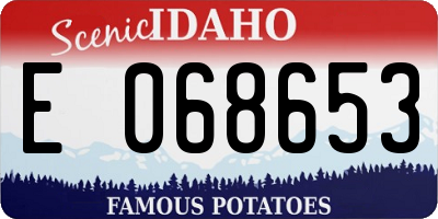 ID license plate E068653