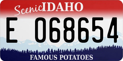 ID license plate E068654