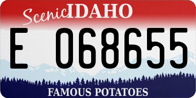 ID license plate E068655