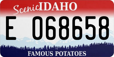 ID license plate E068658