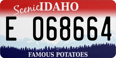 ID license plate E068664