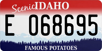 ID license plate E068695