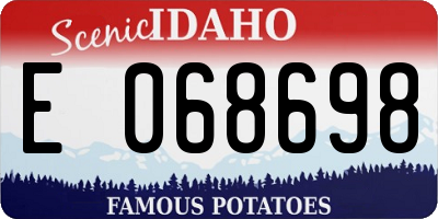 ID license plate E068698