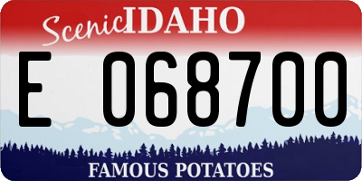 ID license plate E068700