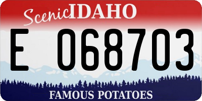 ID license plate E068703