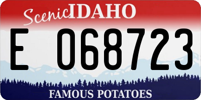 ID license plate E068723