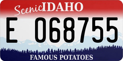 ID license plate E068755