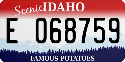 ID license plate E068759