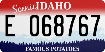 ID license plate E068767