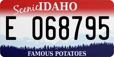 ID license plate E068795