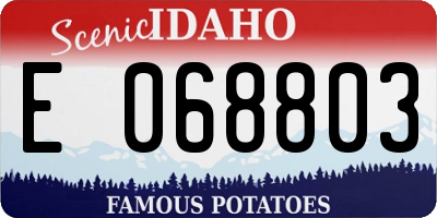 ID license plate E068803