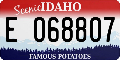ID license plate E068807