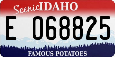 ID license plate E068825