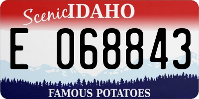 ID license plate E068843