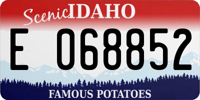 ID license plate E068852