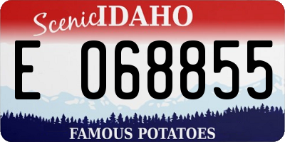 ID license plate E068855