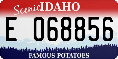 ID license plate E068856