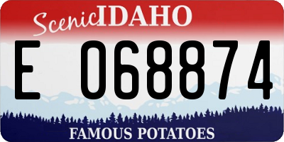ID license plate E068874