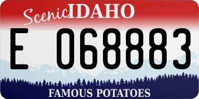 ID license plate E068883