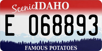 ID license plate E068893