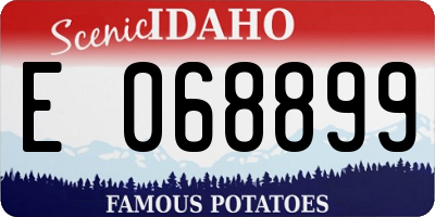 ID license plate E068899
