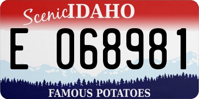 ID license plate E068981