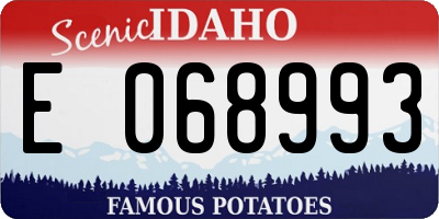 ID license plate E068993