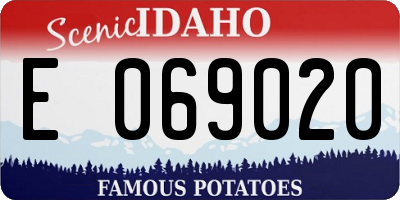 ID license plate E069020