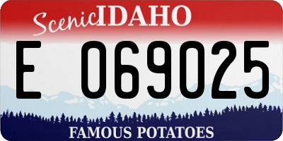ID license plate E069025