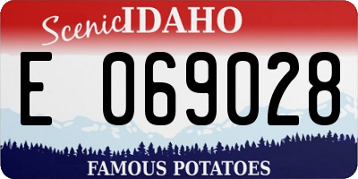 ID license plate E069028