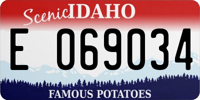 ID license plate E069034